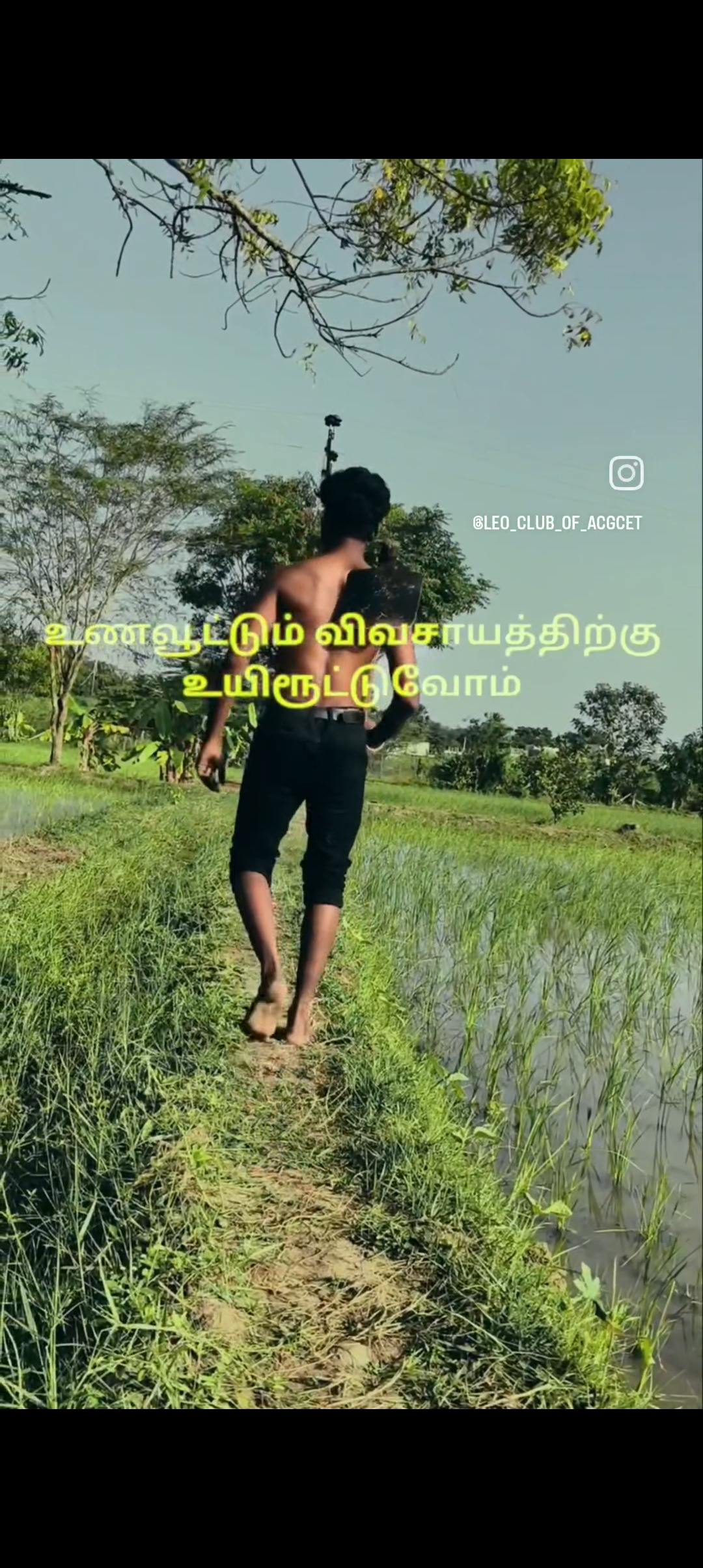 GREEN HEROS - Image 2