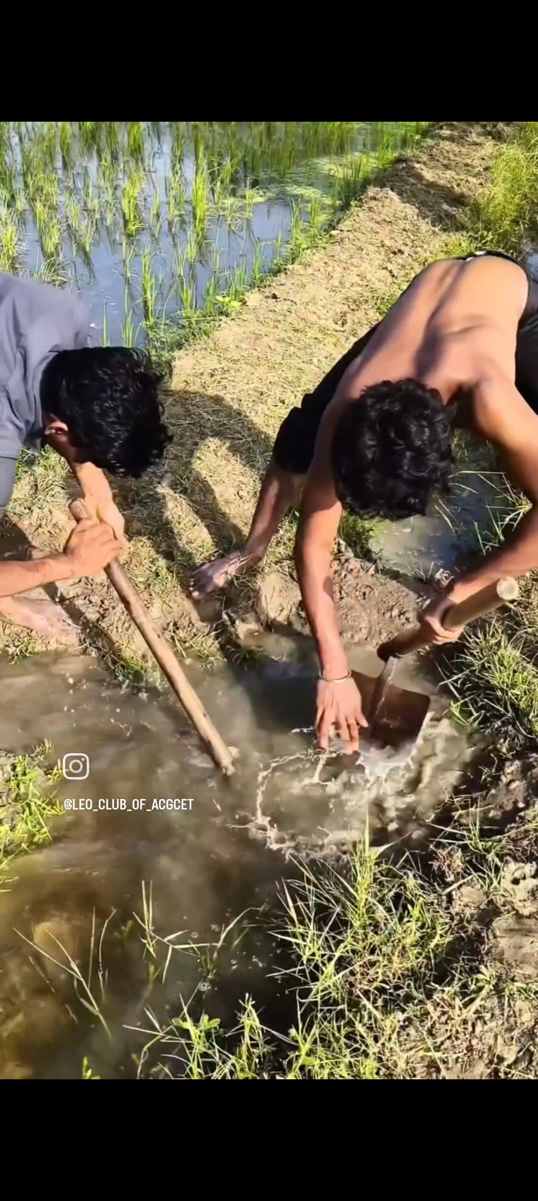 GREEN HEROS - Image 3